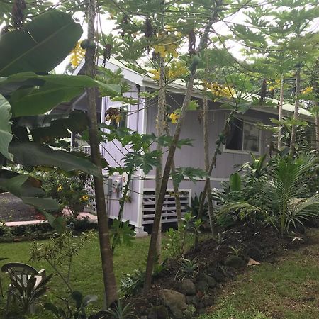 The Dolphin Cottage At Kehena Beach Exteriör bild