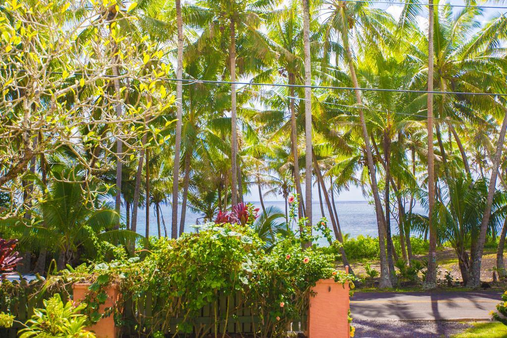 The Dolphin Cottage At Kehena Beach Exteriör bild
