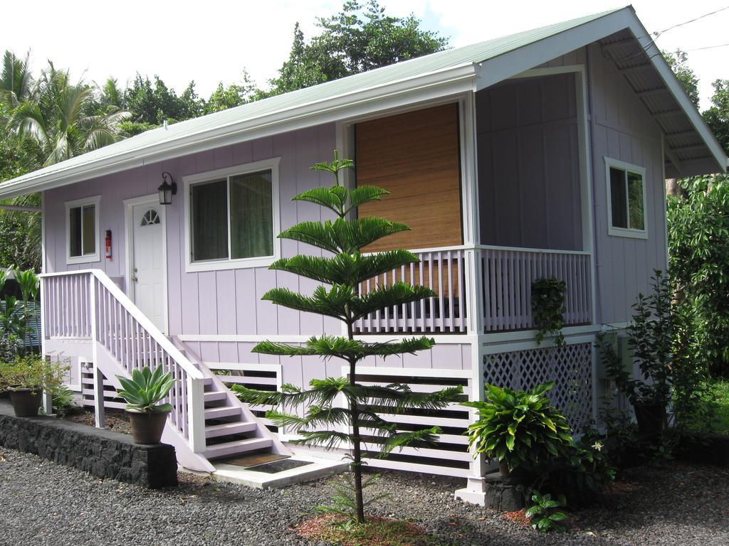 The Dolphin Cottage At Kehena Beach Exteriör bild