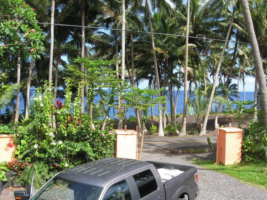 The Dolphin Cottage At Kehena Beach Exteriör bild