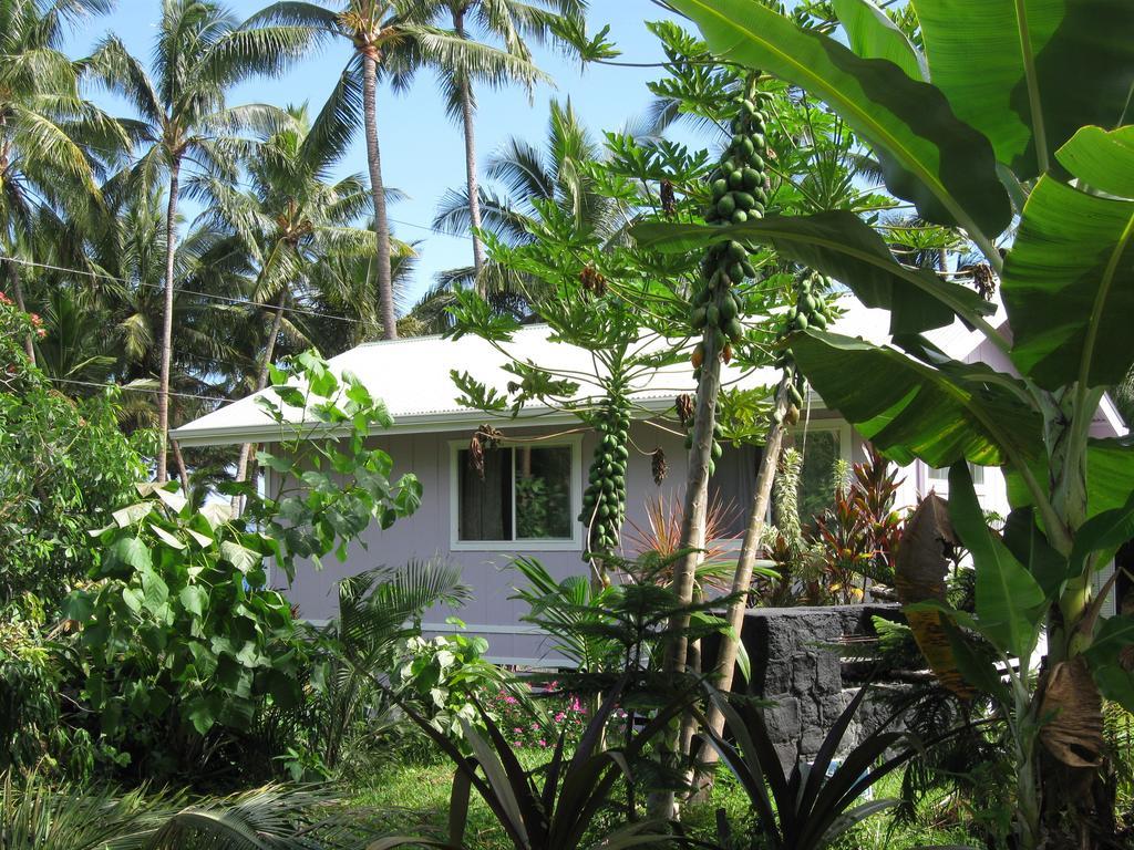 The Dolphin Cottage At Kehena Beach Exteriör bild