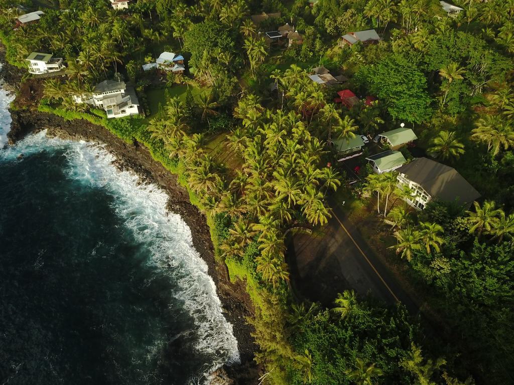 The Dolphin Cottage At Kehena Beach Exteriör bild