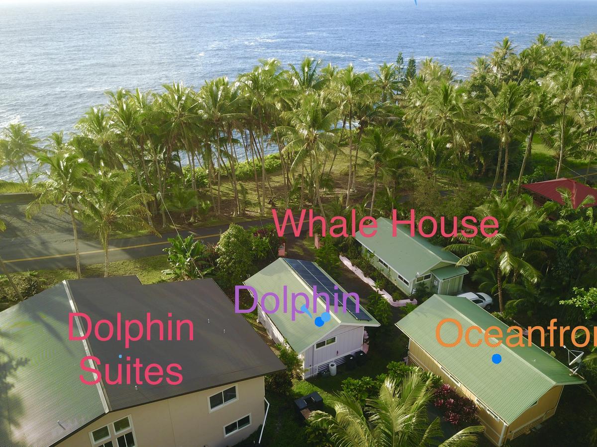 The Dolphin Cottage At Kehena Beach Exteriör bild