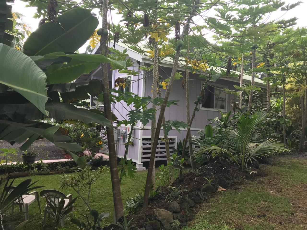 The Dolphin Cottage At Kehena Beach Exteriör bild